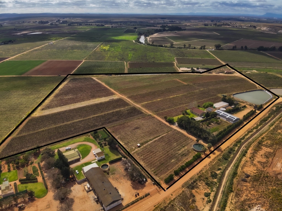 4 Bedroom Property for Sale in Lutzville Western Cape